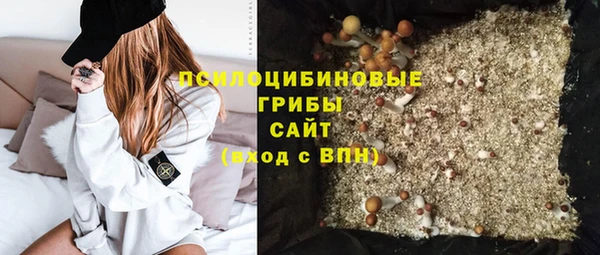 дмт Балахна