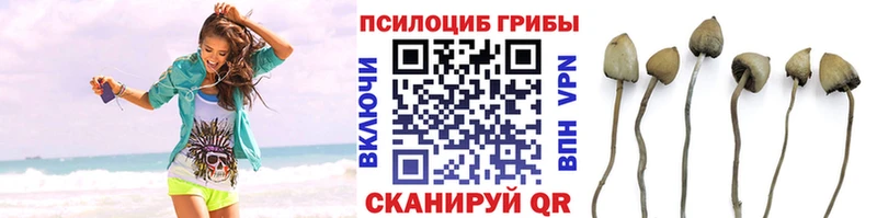 Галлюциногенные грибы GOLDEN TEACHER  наркотики  Отрадное 